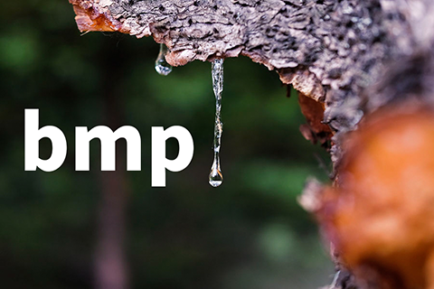 bmp.bmp