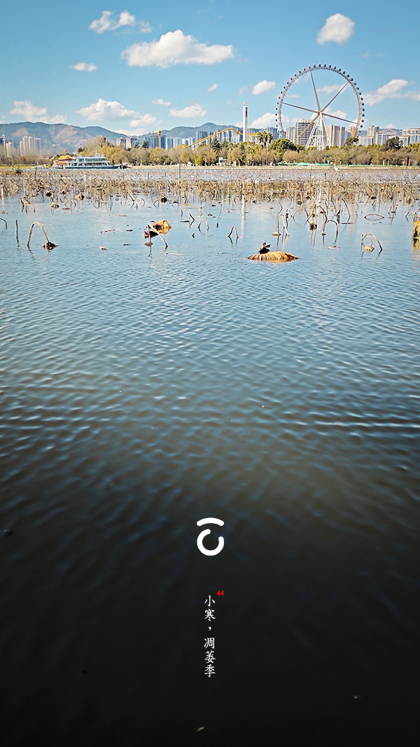 主题功能测试（A）