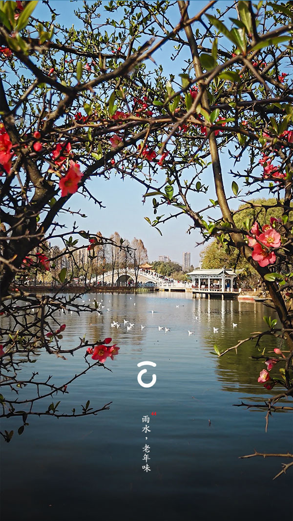 主题功能测试（A）