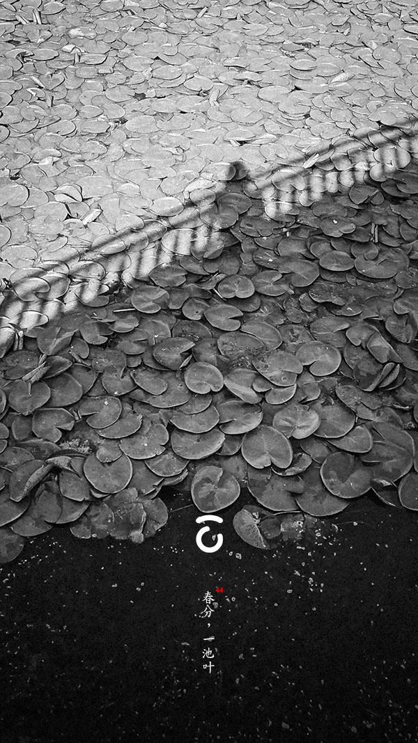 主题功能测试（A）