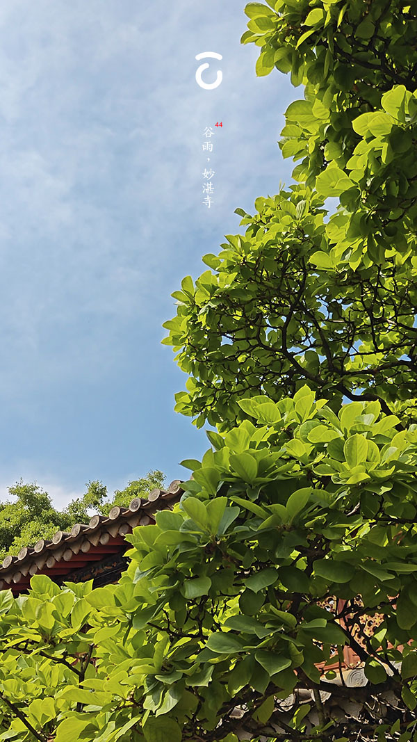 主题功能测试（A）