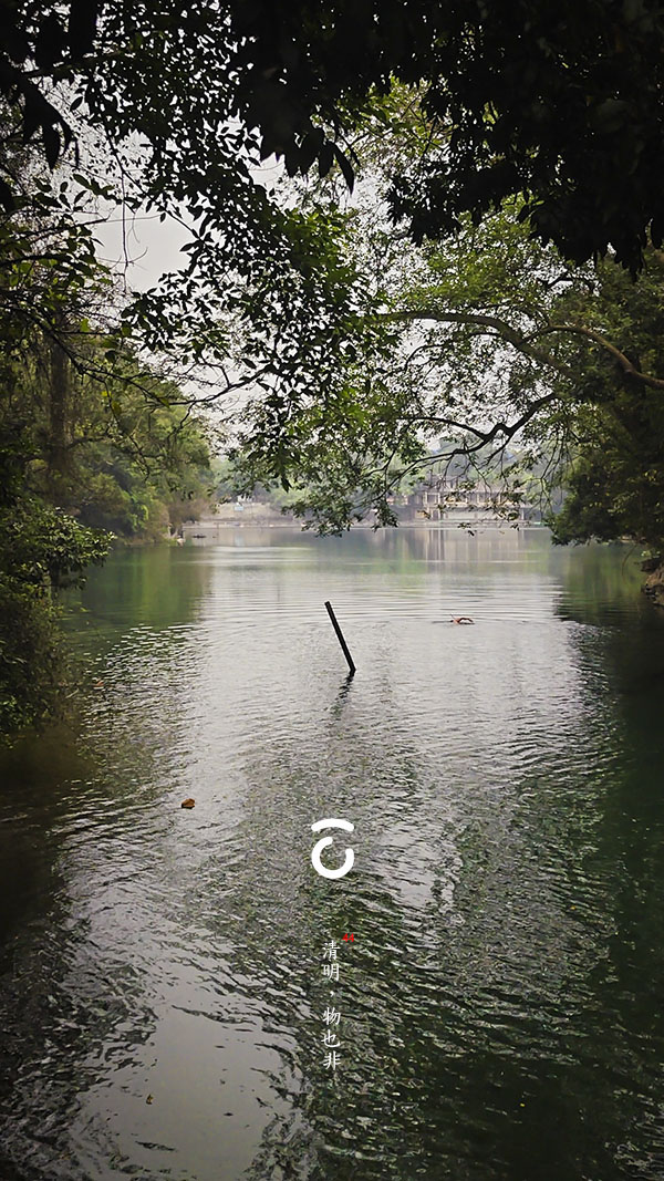 主题功能测试（A）